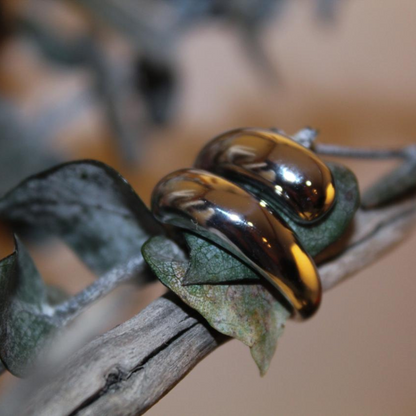 Anillo Trend